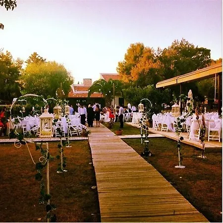 Avenue Butik *