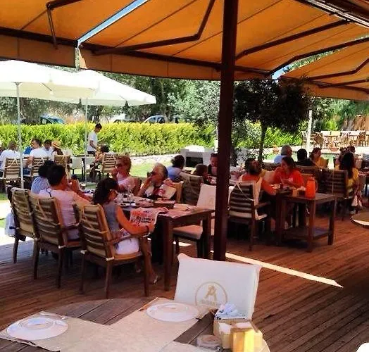 Szálloda Avenue Butik *